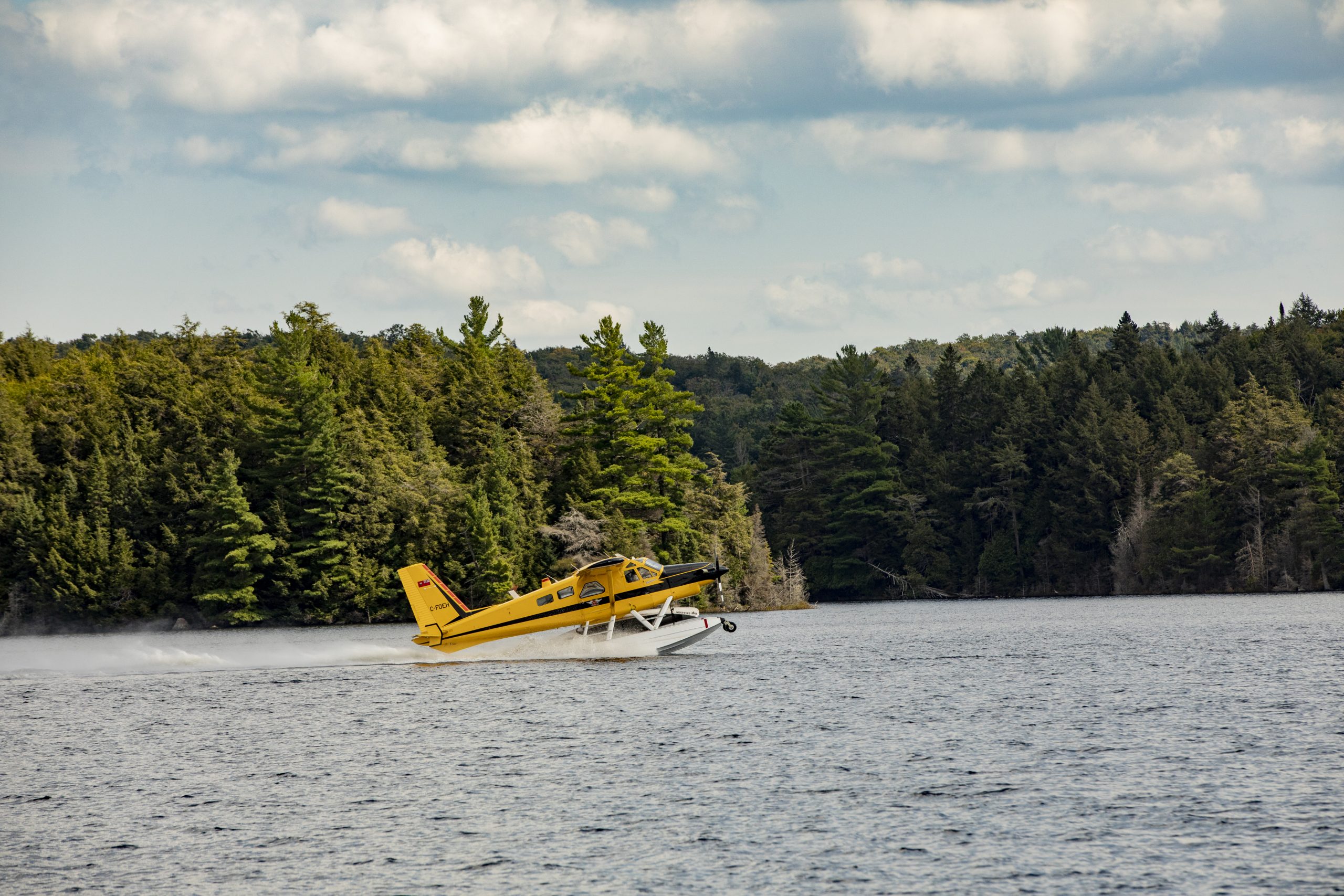 Bushplane Beaver Plane