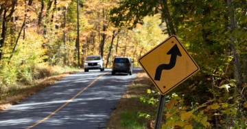 Road sign in the fall