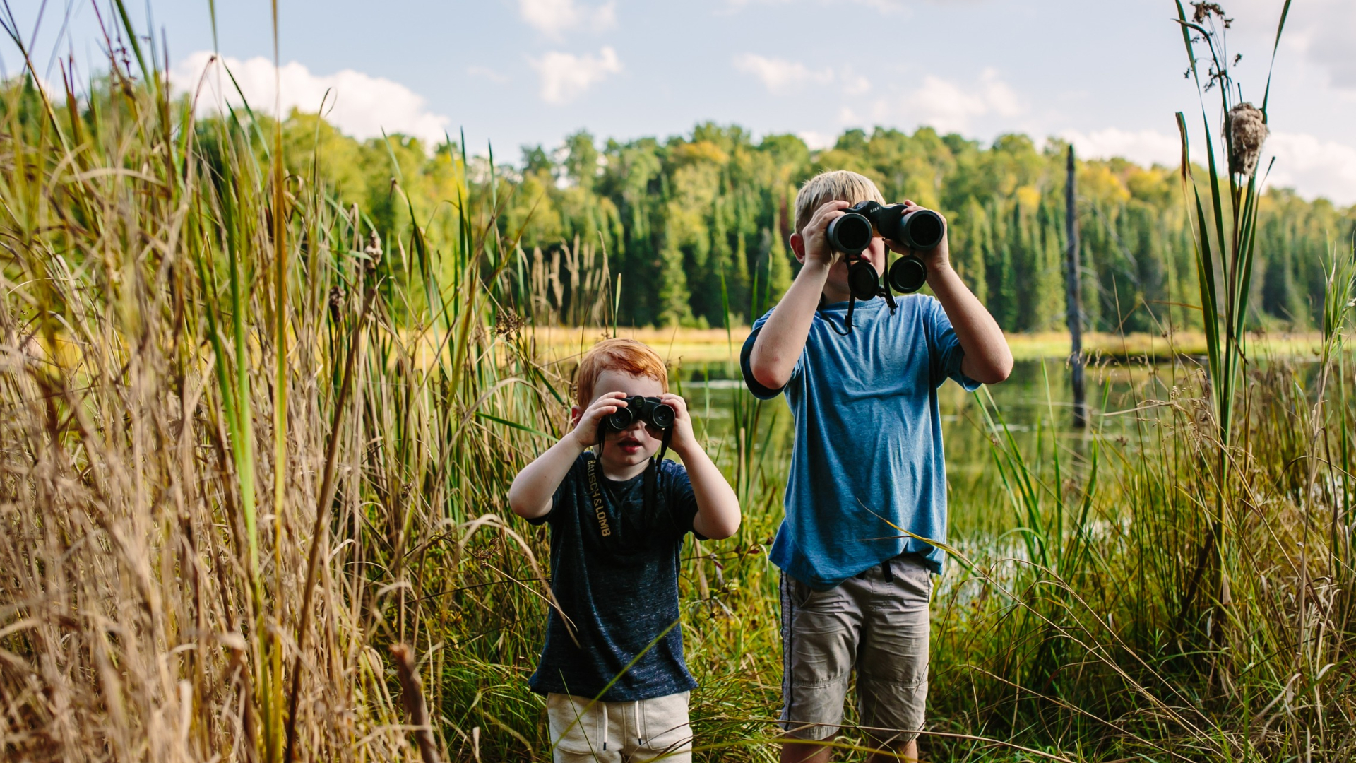 Children Bird watching